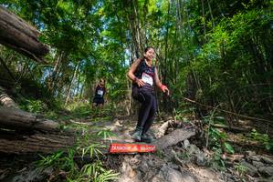 BIB: 
                            <button type="button" onclick="openModal(19388541)" class="btn btn-primary btn-sm float-right btn-popup" data-toggle="modal" data-target=".modal-high-quality">
                        <i class="fas fa-shopping-cart"></i> Add to Cart
                    </button>
                                            <button type="button" onclick="isThisMe(19388541, true)" class="btn btn-success btn-sm float-right btn-popup btn-isme hidden" data-toggle="tooltip" data-placement="bottom" title="นี่คือรูปของคุณใช่ไหม คลิกที่นี่เพื่อเอาเข้าอัลบั้ม">
                        <i class="fas fa-plus"></i> Add to album
                    </button>
                    <button type="button" onclick="isThisMe(19388541, false)" class="btn btn-warning btn-sm float-right btn-popup btn-isnotme hidden">
                        <i class="fas fa-ban"></i> Remove from album
                    </button>